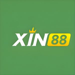 Logo Xin88